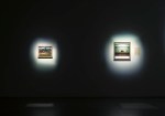 (Installation View)