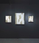 Wall Fragments, wood, pasteboard, mortar, reed, wallpaper, oil paint, steel wire, size From left: 39x33cm, 67x55cm, 34x29cm. 2010